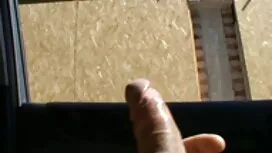Cô bé gái tóc vàng v ...