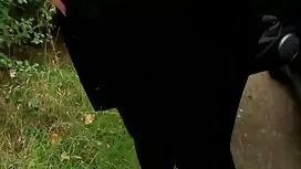 Quyến rũ lớn dưa thí ...
