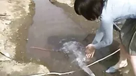 Cố gắng mới của tôi  ...